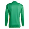 Aston Villa Fotbollströjor Målvakt Barn 2024-25 Grön Långärmad